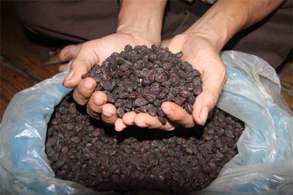 tỷ phú nông dân, làm giàu