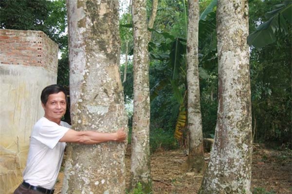 tỷ phú nông dân, làm giàu