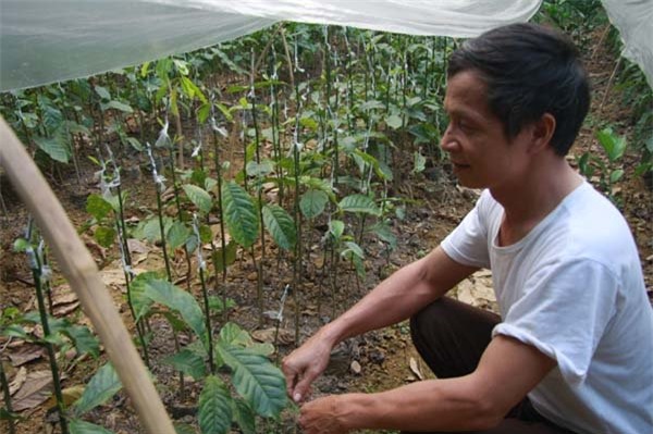 tỷ phú nông dân, làm giàu