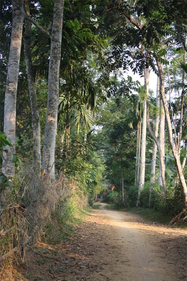 tỷ phú nông dân, làm giàu