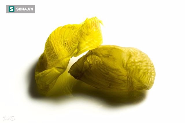 Bảo bối trong bụng gà tốt như đông trùng hạ thảo, tiếc rằng nhiều người không biết! - Ảnh 1.