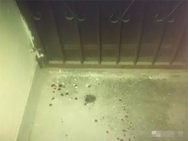 Thấy máu vương trên nền đất, người dân hốt hoảng gọi điện báo cảnh sát và chân tướng thực sự khiến dư luận dậy sóng - Ảnh 2.