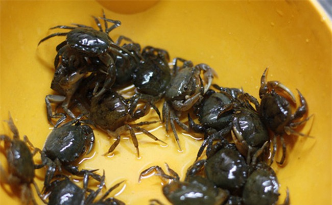 Kinh hoàng chuyện