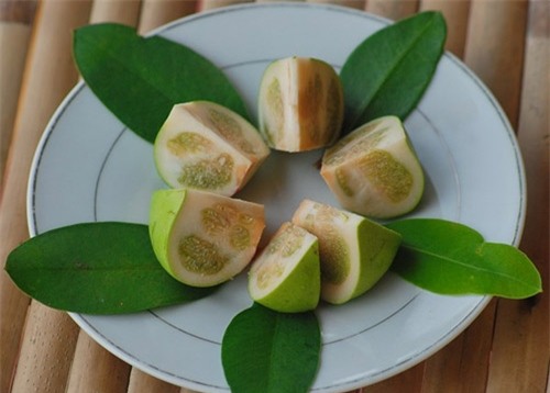 Việt Nam ngỡ là quả dại, sang "nước người ta" có giá "đắt hơn vàng" - 6