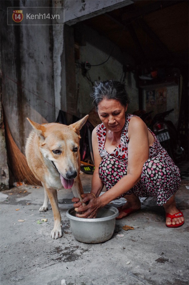 Gặp Gấu - chú chó cá tính nhất Sài Gòn: Chủ mua gì cũng xung phong xách hộ, không cho theo thì hờn mát bỏ ăn! - Ảnh 7.