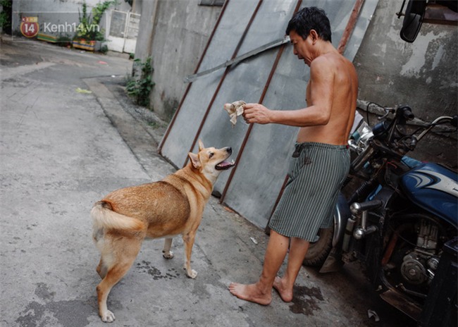 Gặp Gấu - chú chó cá tính nhất Sài Gòn: Chủ mua gì cũng xung phong xách hộ, không cho theo thì hờn mát bỏ ăn! - Ảnh 8.