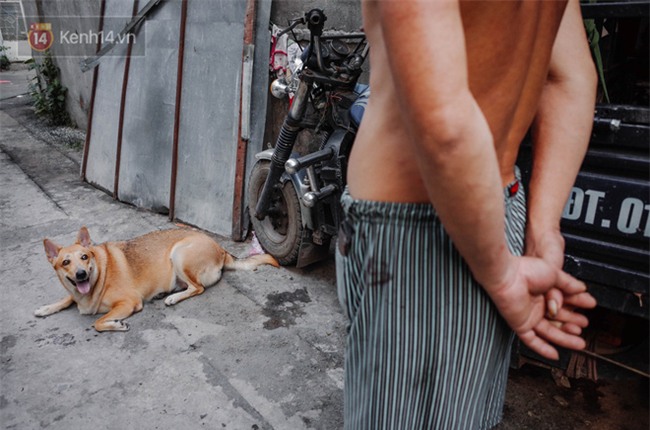 Gặp Gấu - chú chó cá tính nhất Sài Gòn: Chủ mua gì cũng xung phong xách hộ, không cho theo thì hờn mát bỏ ăn! - Ảnh 9.