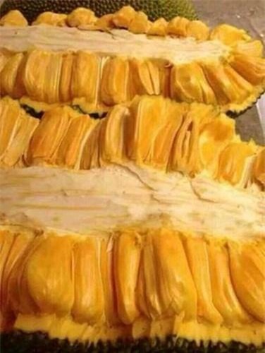 can canh mit sieu dai hon 1 met doc la dang 