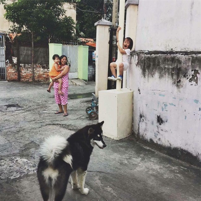 Cô bé la khóc, trèo lên cột vì sợ chó: Khoảnh khắc gây bão mạng xã hội Việt - Ảnh 1.