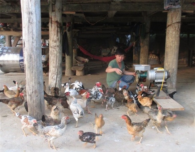 giun quế, thực phẩm sạch, xúc xích