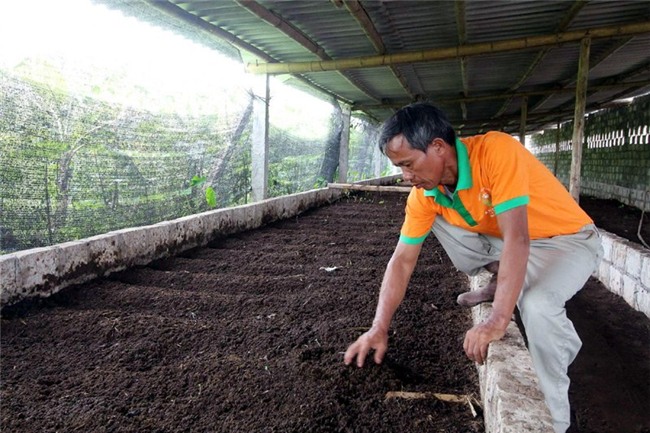 giun quế, thực phẩm sạch, xúc xích