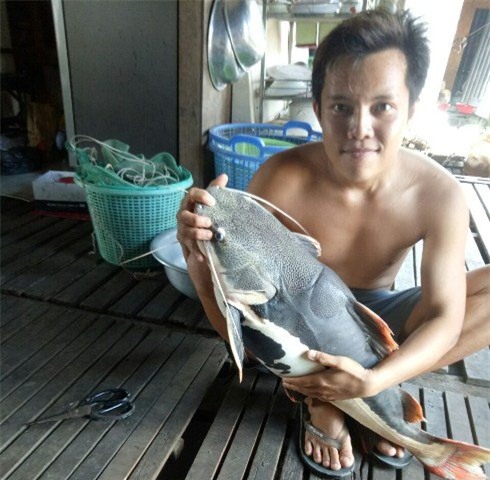 cá lạ, thủy quái, cá quý hiếm