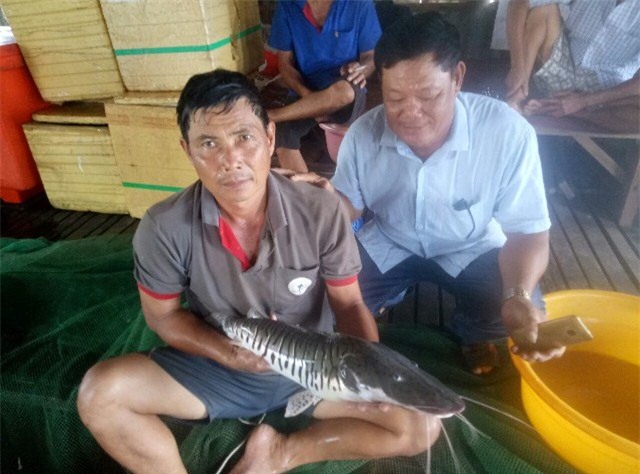 cá lạ, thủy quái, cá quý hiếm