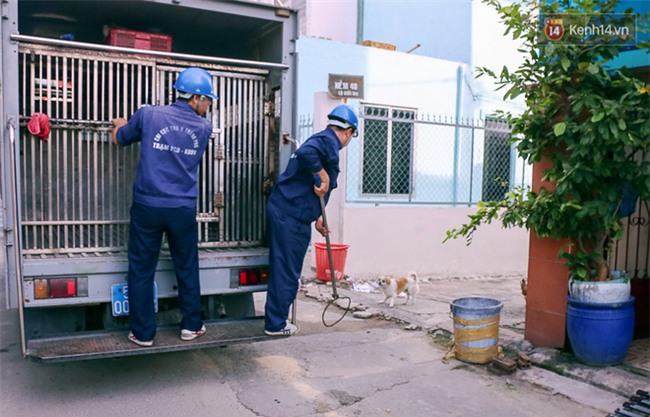 Ch&#243; cưng bị Đội săn bắt &quot;t&#243;m&quot;, cụ b&#224; hớt hải: &quot;N&#243; đi chợ với t&#244;i, đang nằm tr&#234;n vỉa h&#232; chờ t&#244;i về c&#249;ng th&#236; bị bắt&quot; - Ảnh 3.