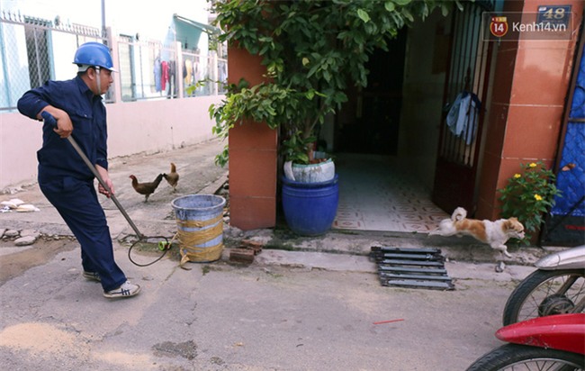 Chó cưng bị Đội săn bắt "tóm", cụ bà hớt hải: "Nó đi chợ với tôi, đang nằm trên vỉa hè chờ tôi về cùng thì bị bắt" - Ảnh 3.