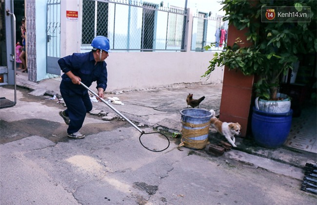 Ch&#243; cưng bị Đội săn bắt &quot;t&#243;m&quot;, cụ b&#224; hớt hải: &quot;N&#243; đi chợ với t&#244;i, đang nằm tr&#234;n vỉa h&#232; chờ t&#244;i về c&#249;ng th&#236; bị bắt&quot; - Ảnh 3.