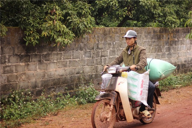 Chang sinh vien suy than do 4 thanh ong chu cong ty bat dong san hinh anh 2