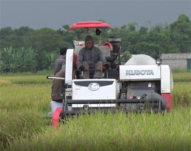 cap nhat tin moi bao so 10: nghe an troi toi sam, mua to kem gio loc cuc manh - 10
