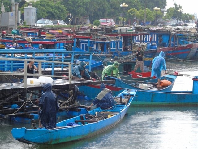 cap nhat tin moi bao so 10: nghe an troi toi sam, mua to kem gio loc cuc manh - 13