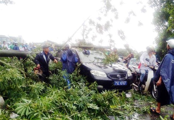 cap nhat tin moi bao so 10: nghe an troi toi sam, mua to kem gio loc cuc manh - 14