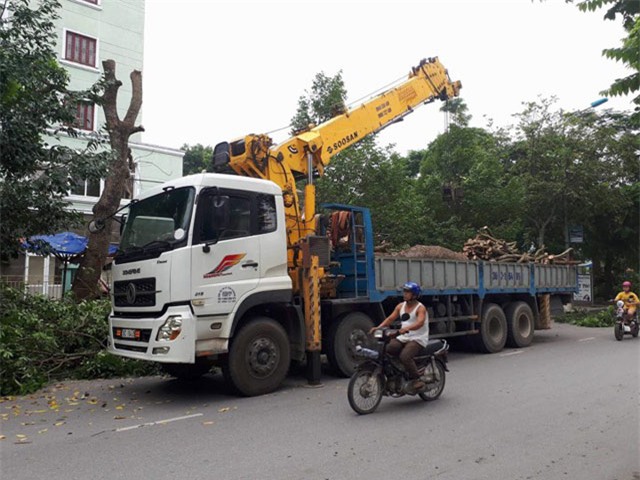 cap nhat tin moi bao so 10: nghe an troi toi sam, mua to kem gio loc cuc manh - 6