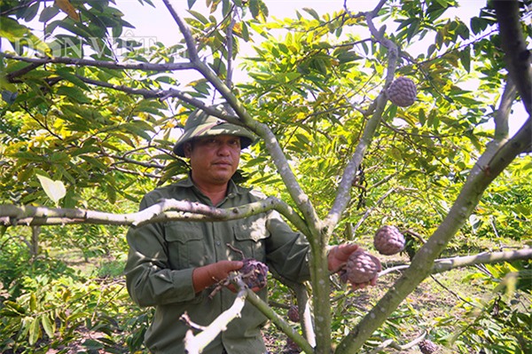 zoom xem na tim dong trieu sieu 