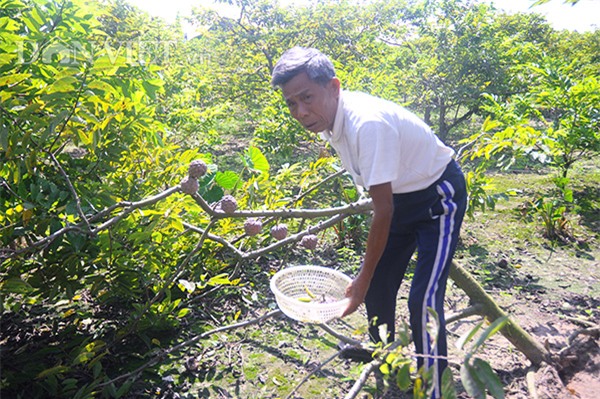 zoom xem na tim dong trieu sieu