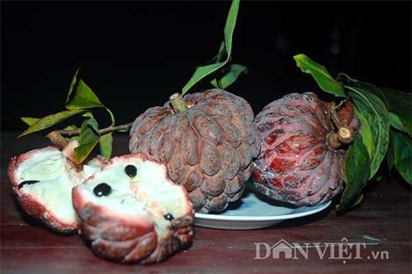 zoom xem na tim dong trieu sieu