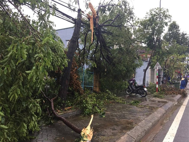 dien bien bao so 10: nghe an nuoc bien dang cao bat thuong, dan lo nha cua bi cuon troi - 14
