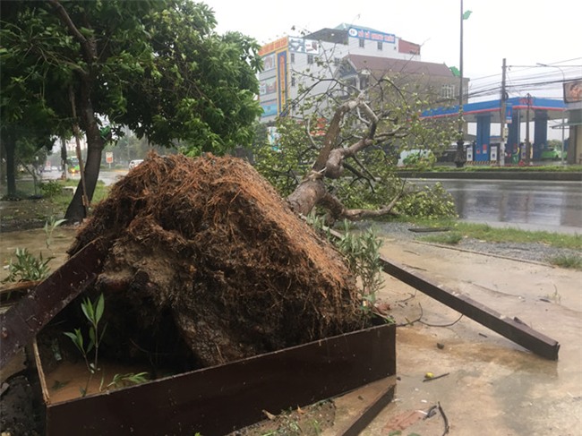 dien bien bao so 10: nghe an nuoc bien dang cao bat thuong, dan lo nha cua bi cuon troi - 5