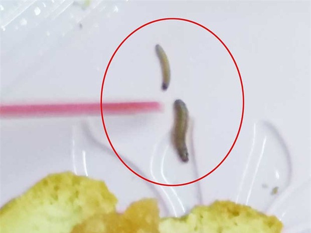 Mất 12 triệu vì đăng Facebook bánh Trung thu có dòi - Ảnh 1.