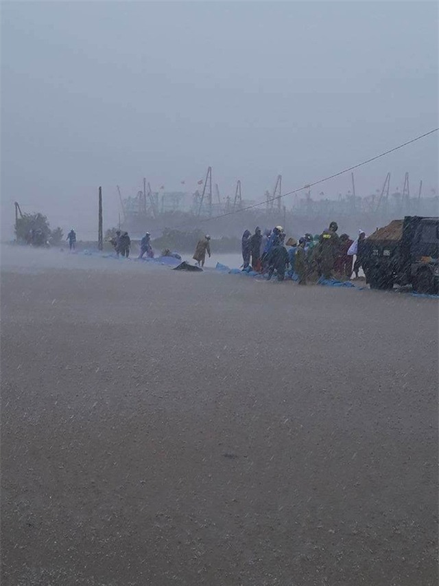 Đê sông Mai Giang (thị xã Hoàng Mai, Nghệ An) (Ảnh: Phạm Cảnh)