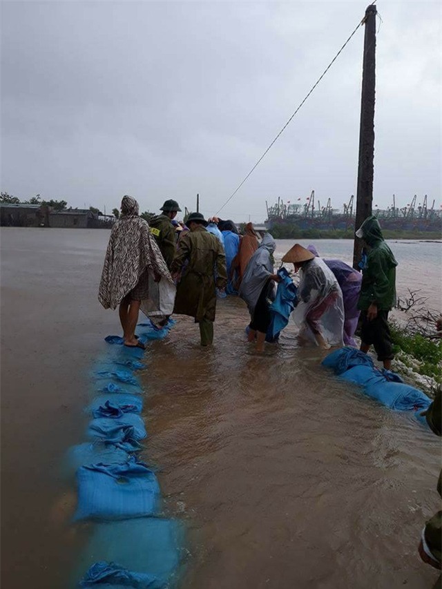 Đội mưa gia cố, giữ đê sông Mai Giang.