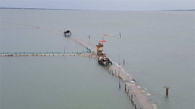 (Ảnh: Đại Dương)