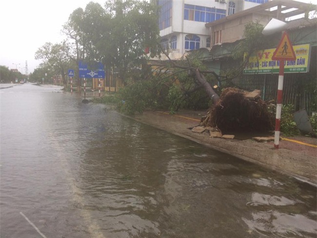 Bão số 10 quét qua, nhiều tỉnh thành ở Việt Nam thất thủ-1