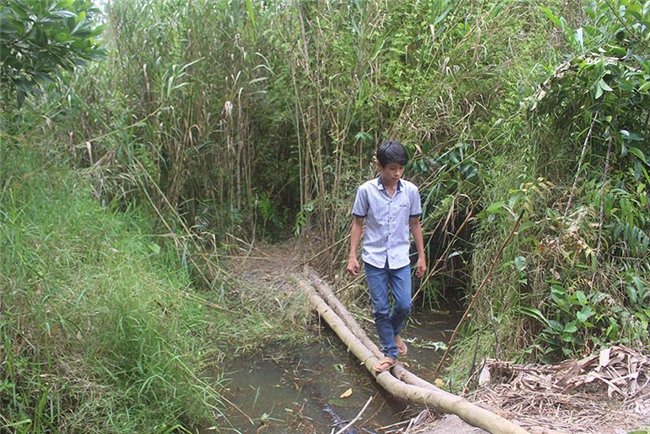 vu thi the nu sinh lop 6 bi vui trong lum say: me khoc ngat goi ten con - 3