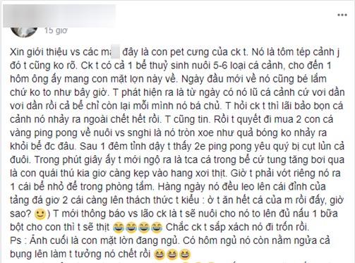 Vợ nổi đóa đòi làm thịt thú cưng, chồng vội ôm đi lánh nạn, hứa mua đồ sang xịn để chuộc lỗi - Ảnh 1.