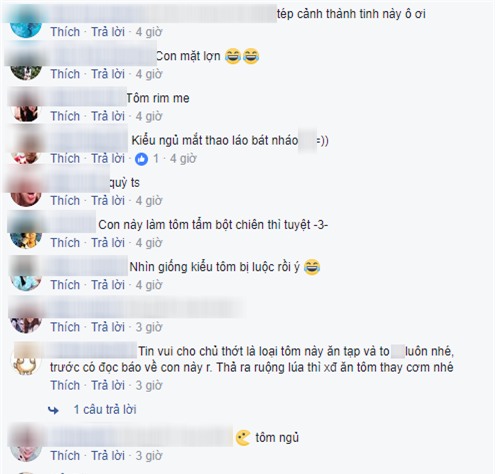 Vợ nổi đóa đòi làm thịt thú cưng, chồng vội ôm đi lánh nạn, hứa mua đồ sang xịn để chuộc lỗi - Ảnh 5.