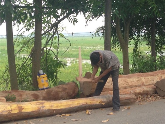 nhà gỗ, gỗ mít, gỗ lim, gỗ quý