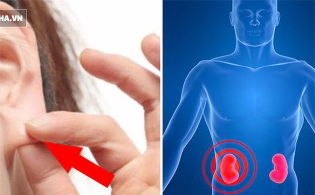 Cách massage dưỡng thận, bổ tim, loại mỡ thừa...: Rất đơn giản, chỉ mất vài phút mỗi ngày