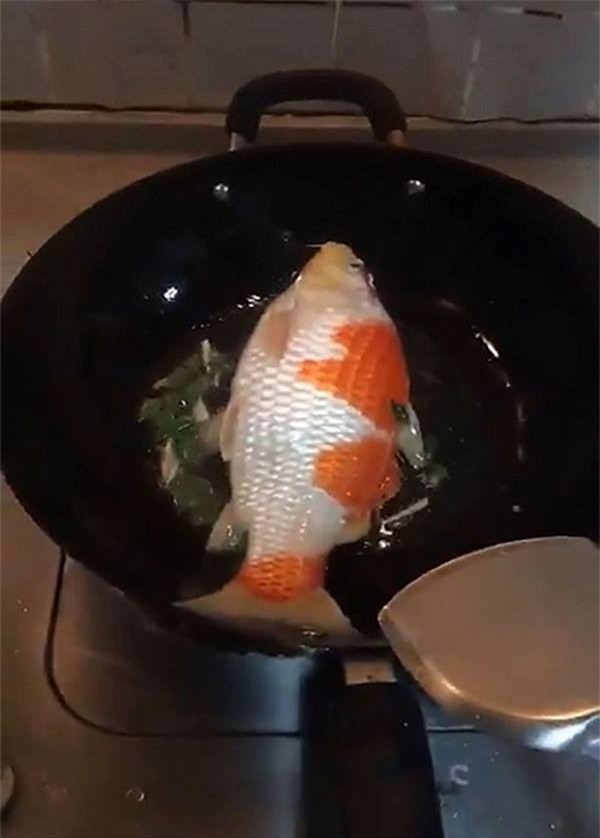 Chồng đi nhậu gọi mãi không về, vợ lạnh lùng thẳng tay rán cả bể cá đắt tiền lên nhậu cùng - Ảnh 3.