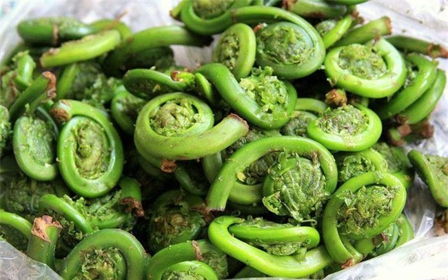 rau dại, rau rừng, tầm bóp, rau sạch, rau sam