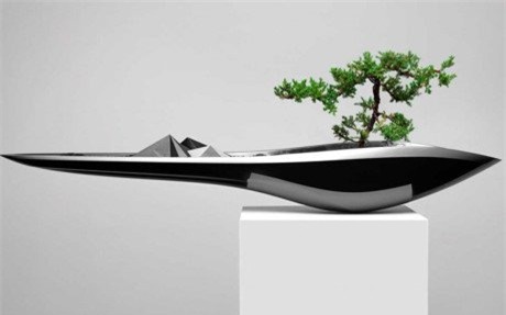 cây cảnh, Cây cảnh triệu đô, chơi cây, cây cảnh tiền tỷ