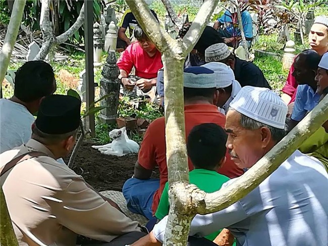 Video: Xót xa nhìn chú mèo bất lực bới mộ ông chủ vừa được chôn cất-4