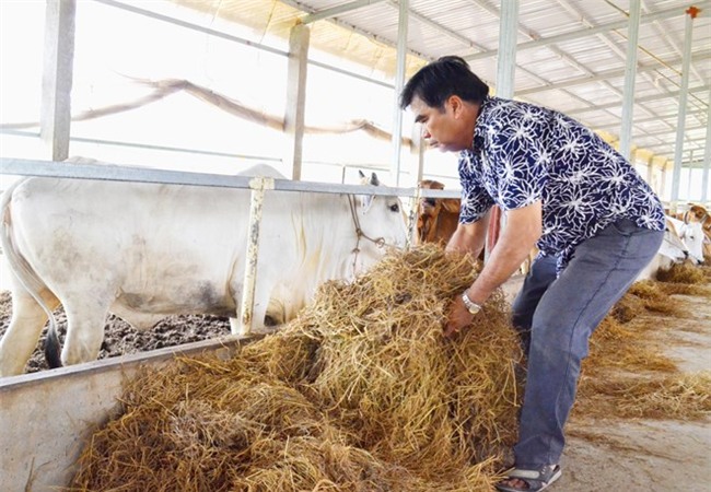 nông dân tỷ phú, nông dân khởi nghiệp, nông dân làm kinh tế giỏi, nông dân, nông nghiệp công nghệ cao