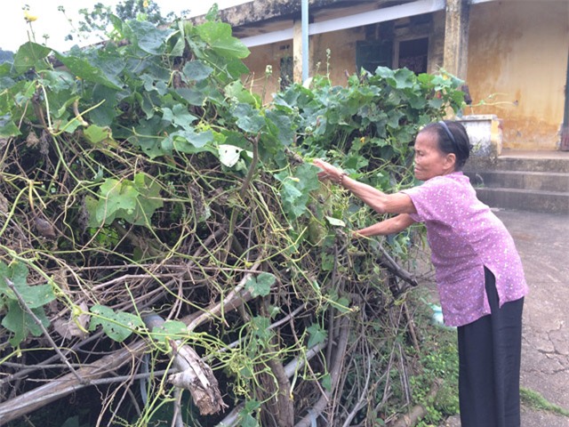 nhung manh doi bat hanh song cho chet tai trai phong bo hoang - 7