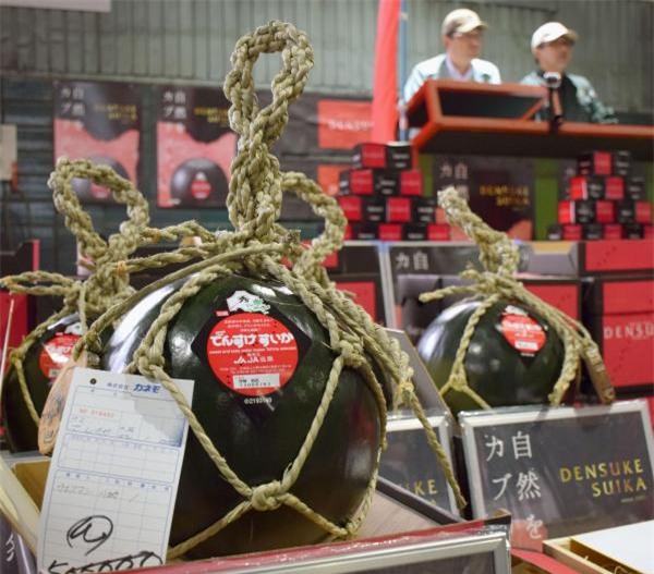 dưa hấu, dưa hấu nhật, hoa quả nhập ngoại, đặc sản nhà giàu