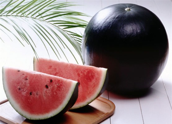 dưa hấu, dưa hấu nhật, hoa quả nhập ngoại, đặc sản nhà giàu