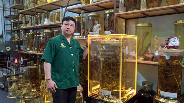 sâm Ngọc Linh, sâm quý, nhân sâm