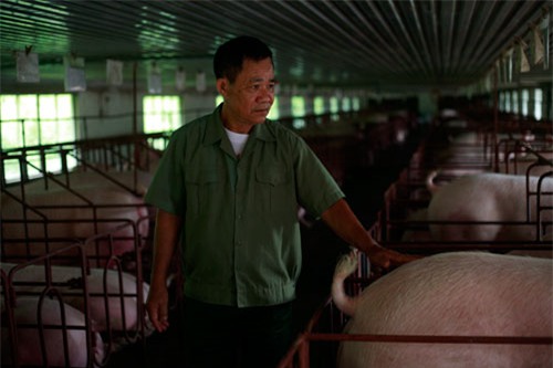nông dân làm giàu, tỷ phú nông dân